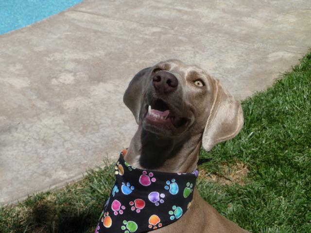 Kori smiling